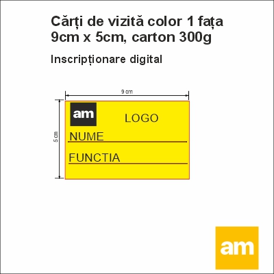 Carti de vizita print digital 1 fata